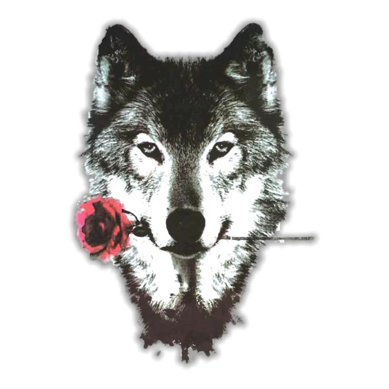 Wolf & Rose