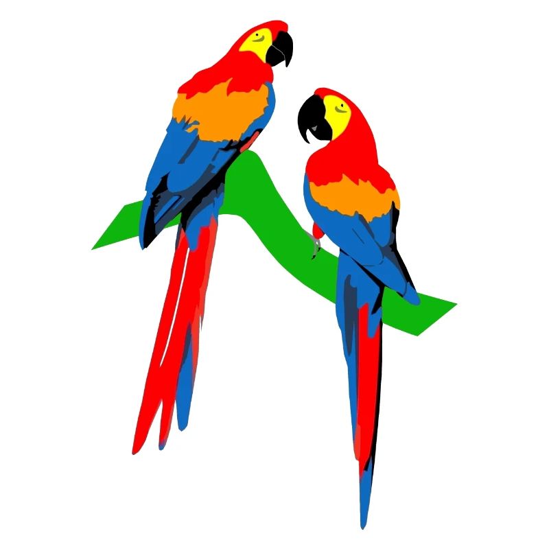 Parrots