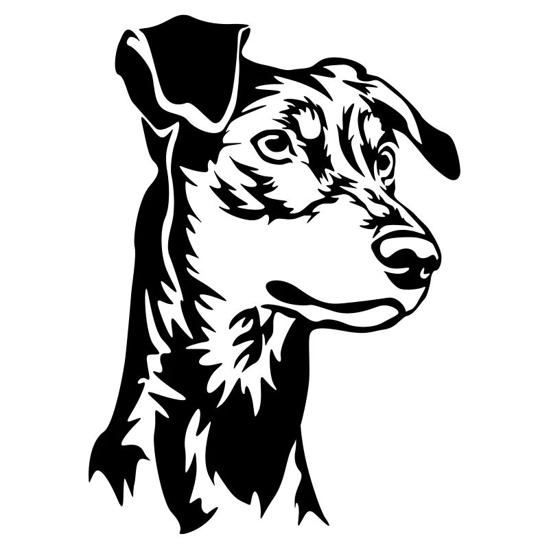 German pinscher head