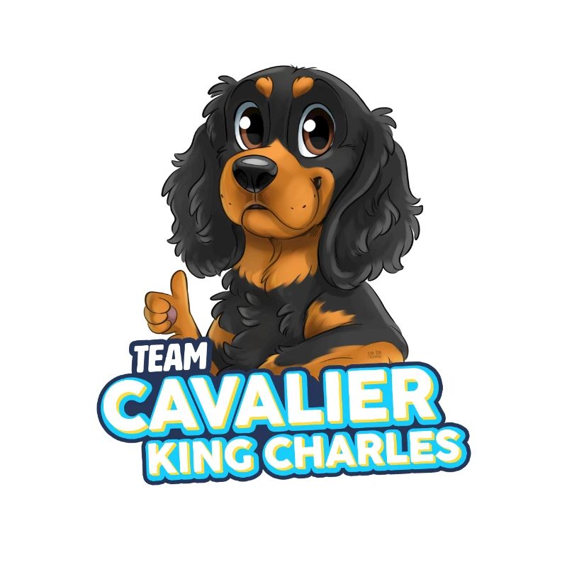 TEAM Cavalier King Charles - Black & Tan