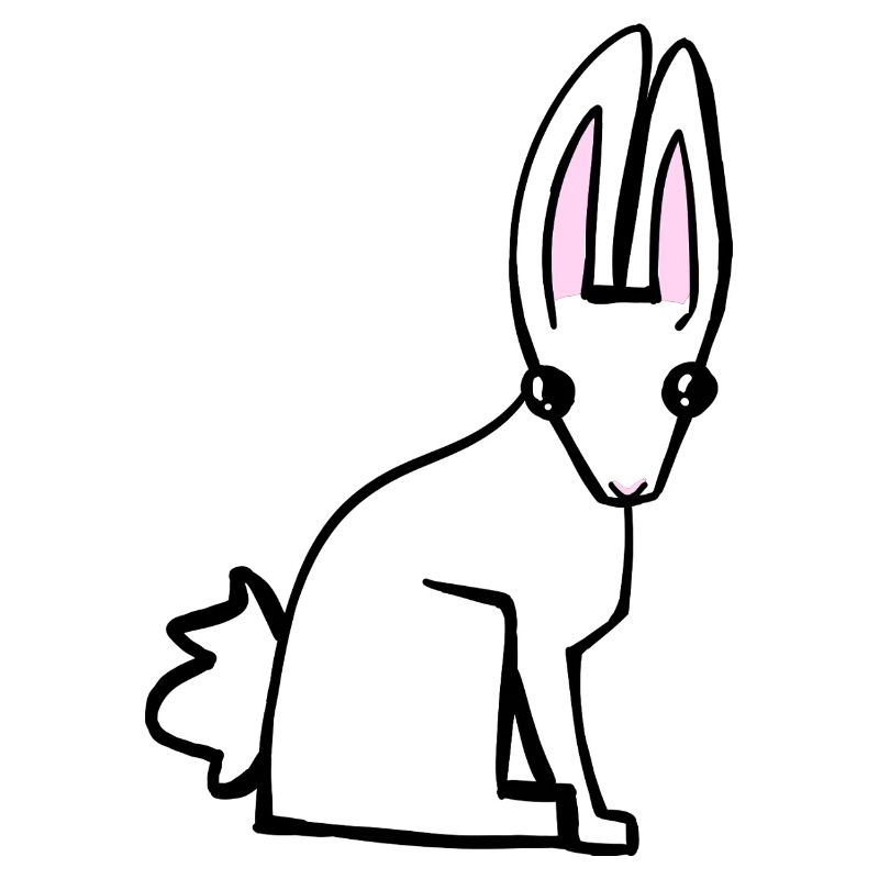 Lapin blanc