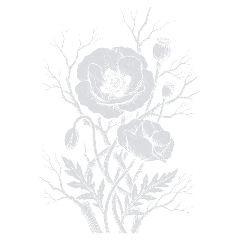 Fleurs de pavot