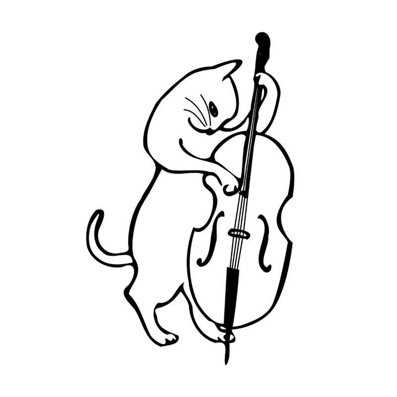 Contrebasse chat Jazz