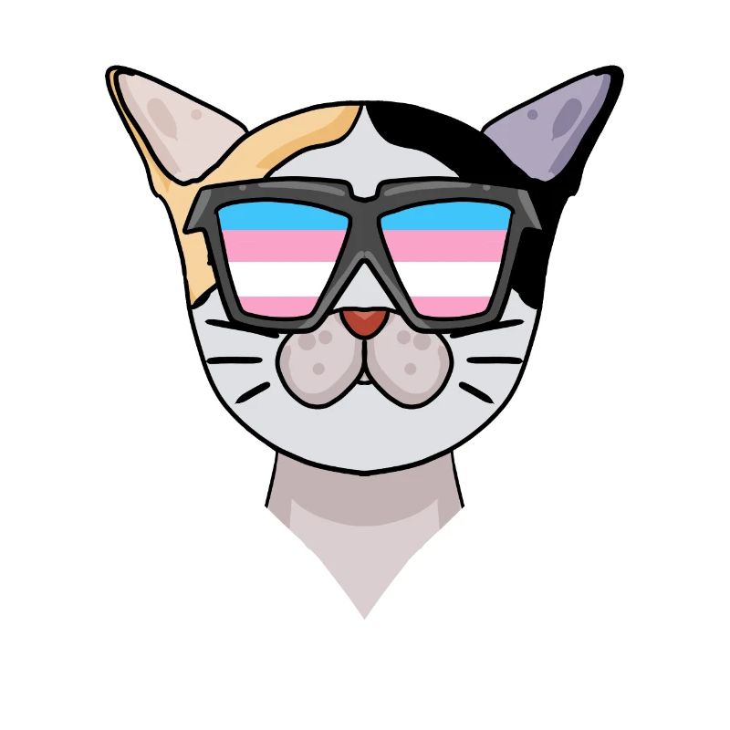 Transgender Transsexual Japanese Bobtail Cat