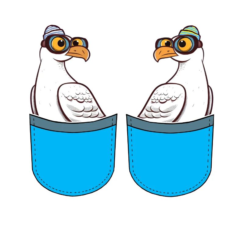 Marins Seagulls Marins maritimes