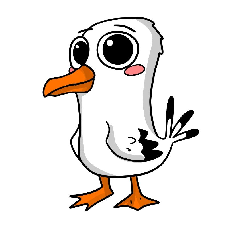 Mouette mignonne