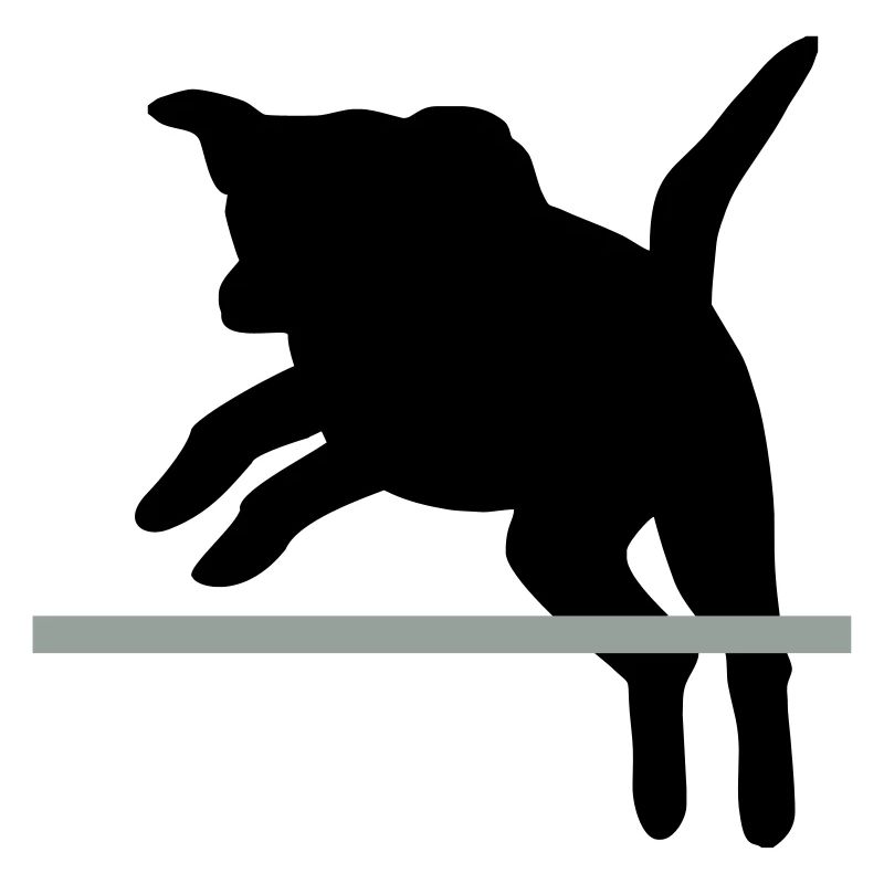 chien de sauter / agilité