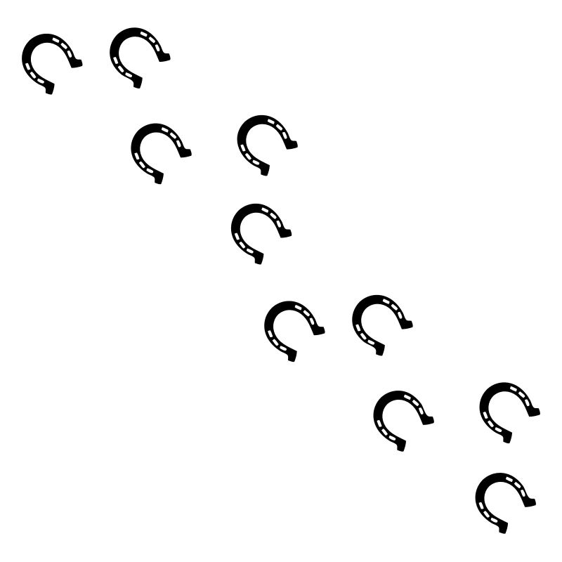 bourrin fer à cheval