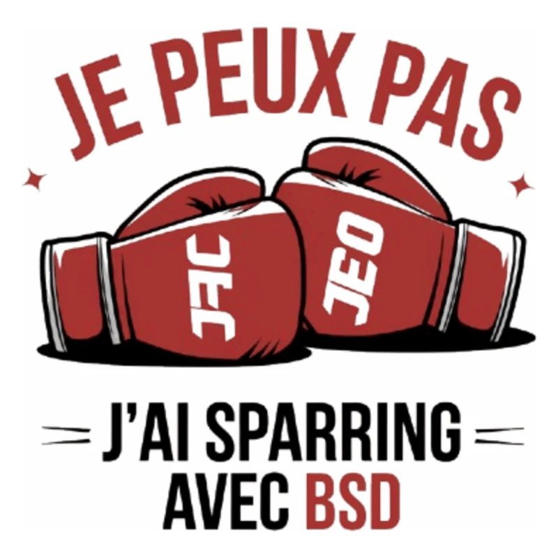 je peux pas j ai sparring avec benoit saint dénis