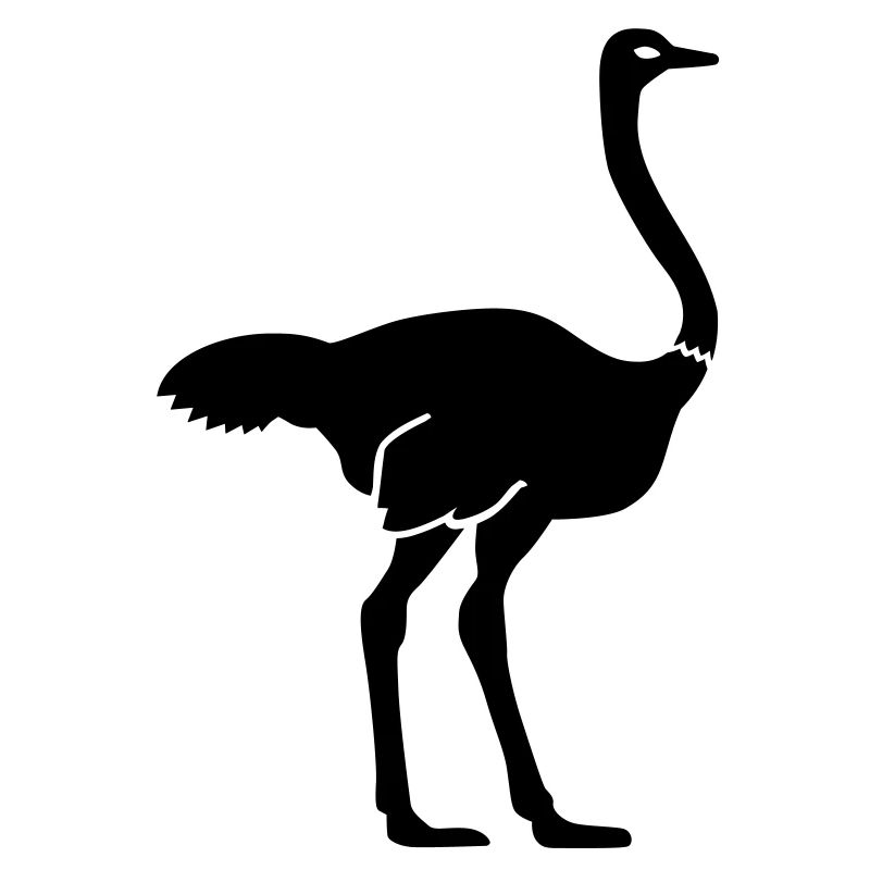 Ostrich