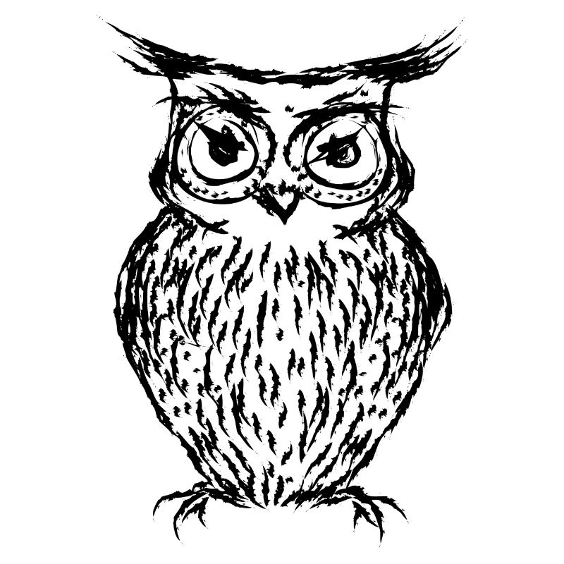 Black owl