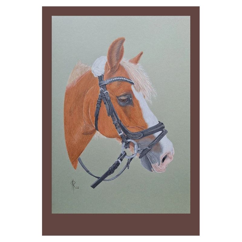 Portrait de cheval avec bride d’équitation