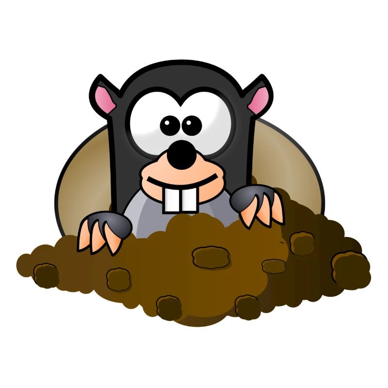 Animal Animals Mole