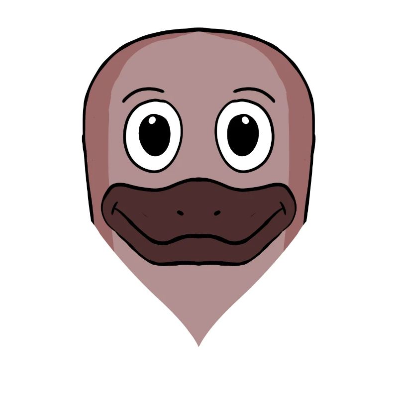 Ornithorynque