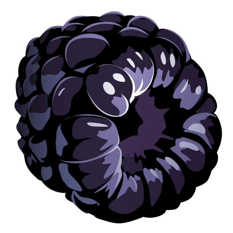 Blackberry