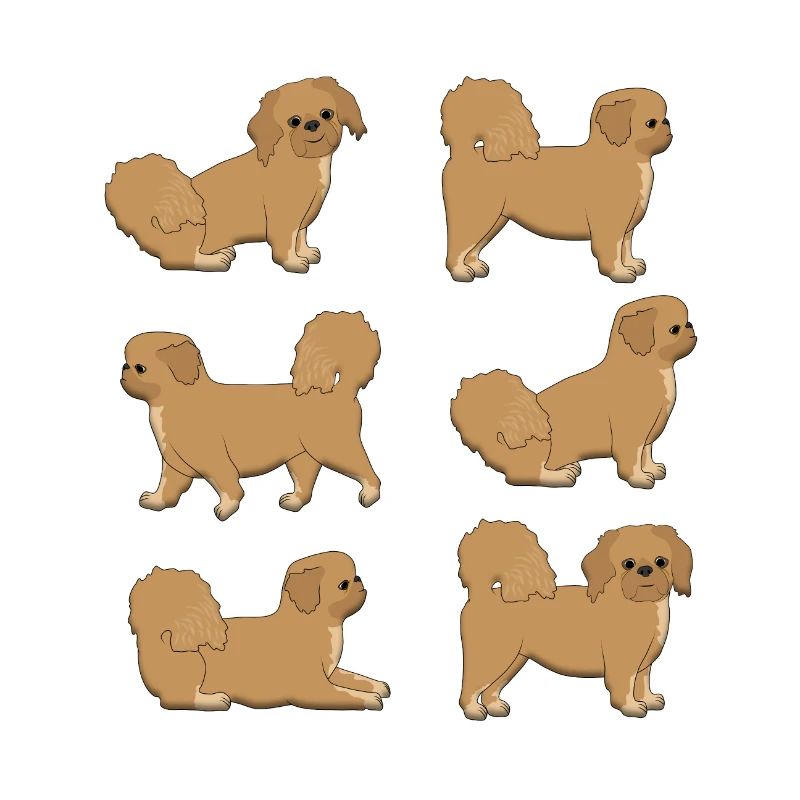 Pekinese selection