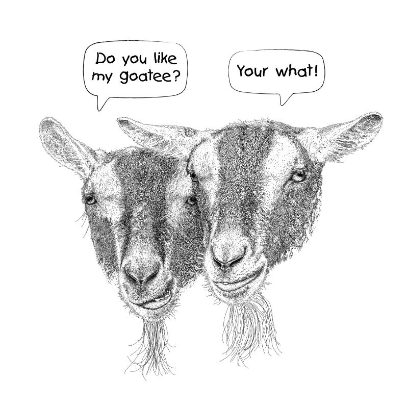 Funny Goatee Beard