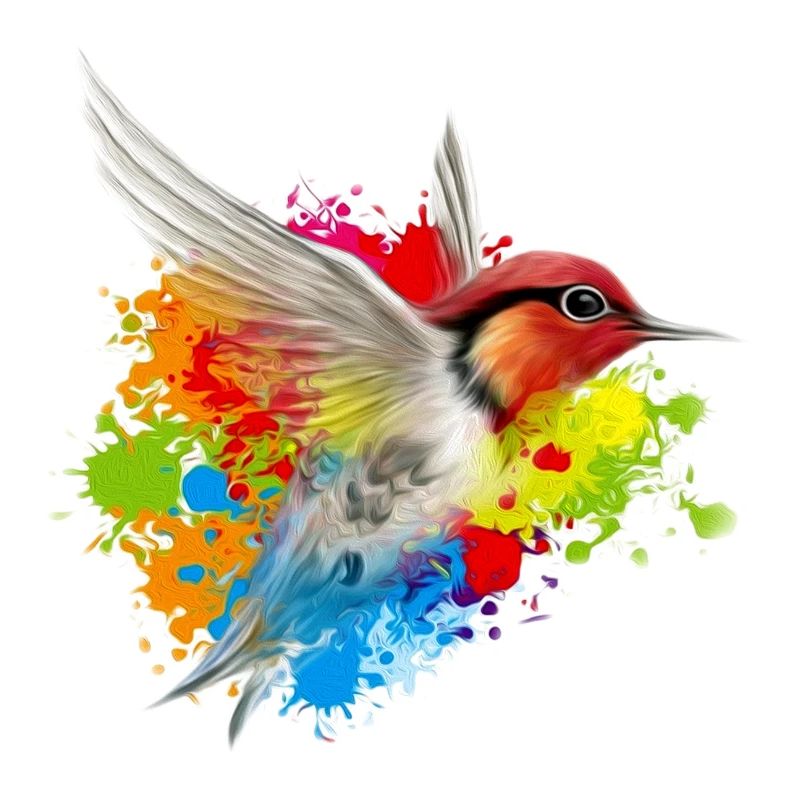 Colibri Freund logo