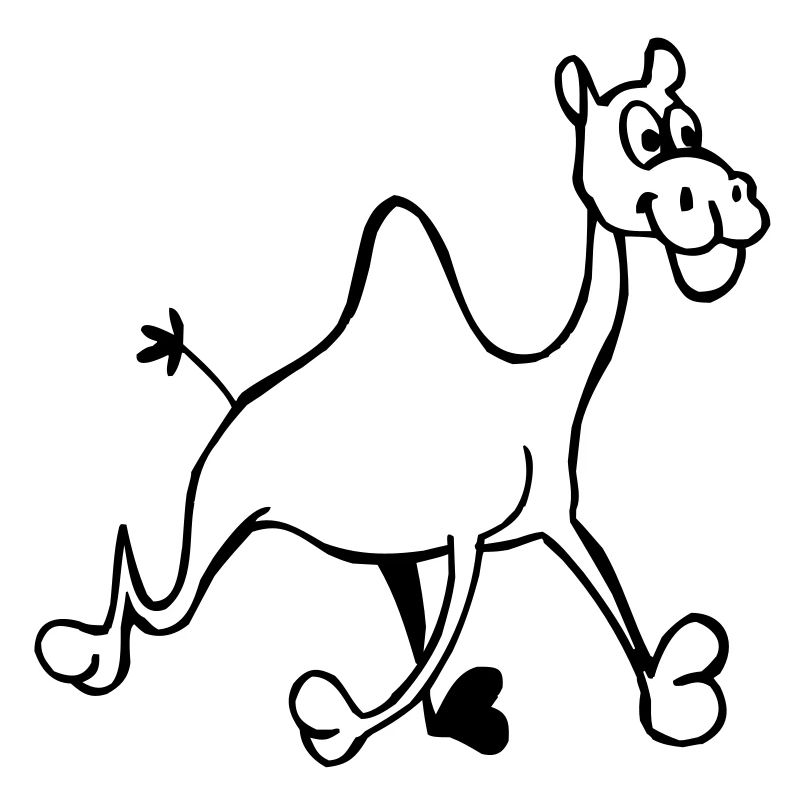 Lustiges Kamel