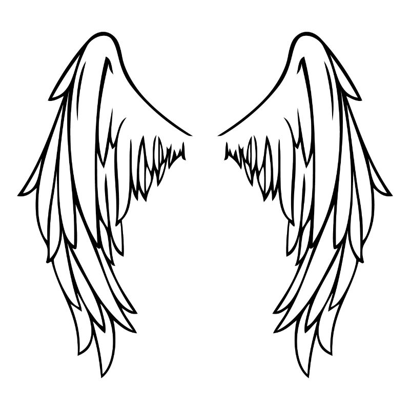 Ailes De