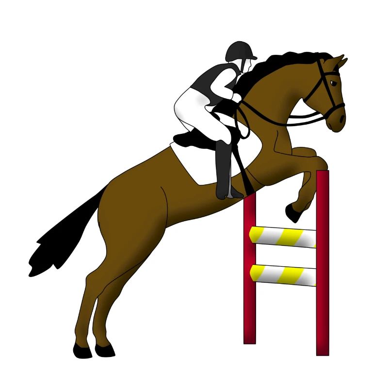 show jumping horse