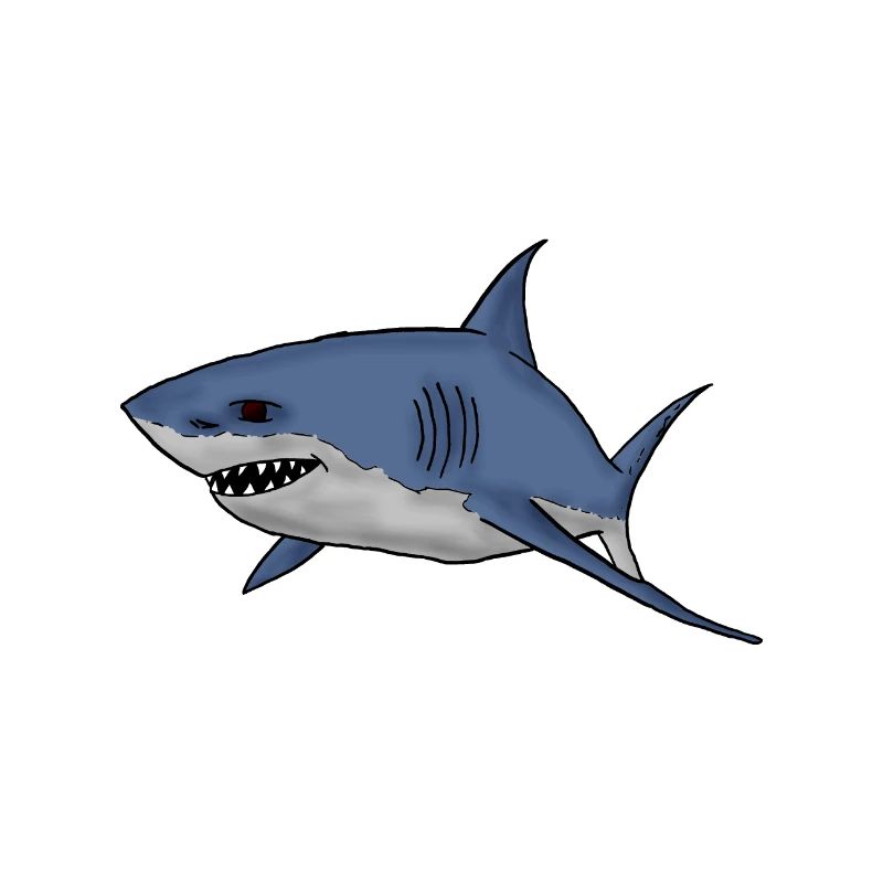 white shark