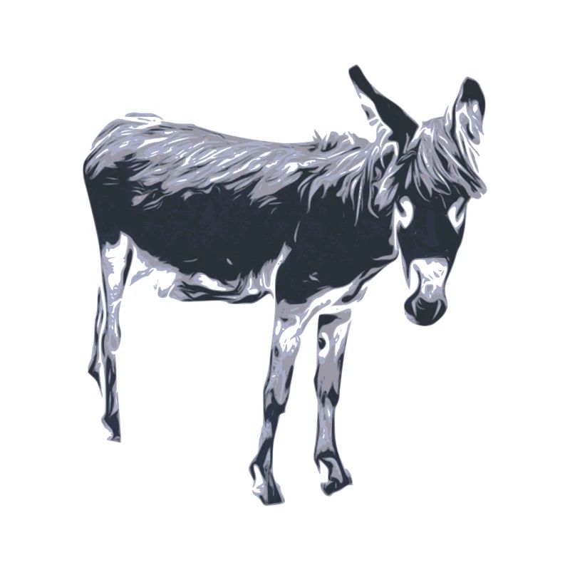 Âne