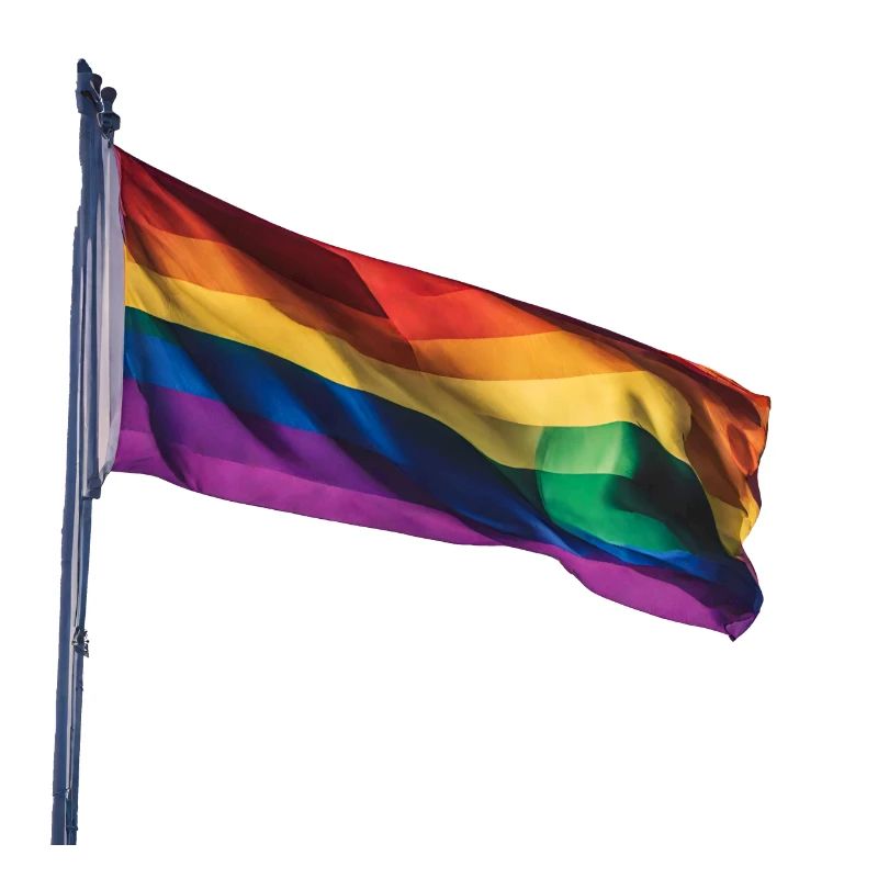 LGBTQ Flagge