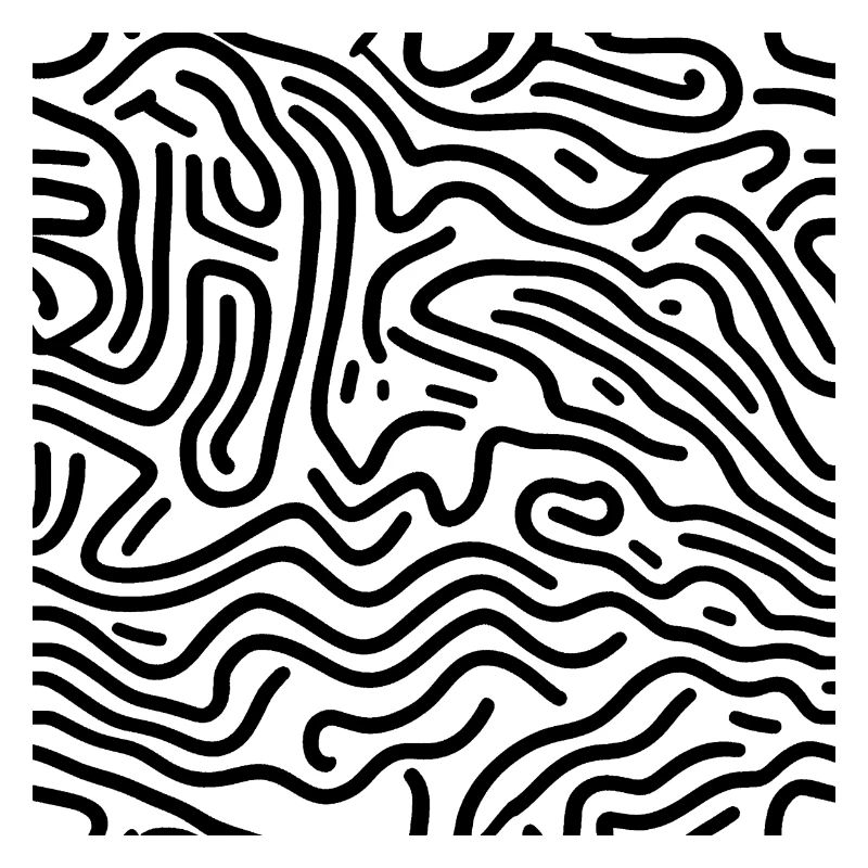 noir et blanc - lignes design