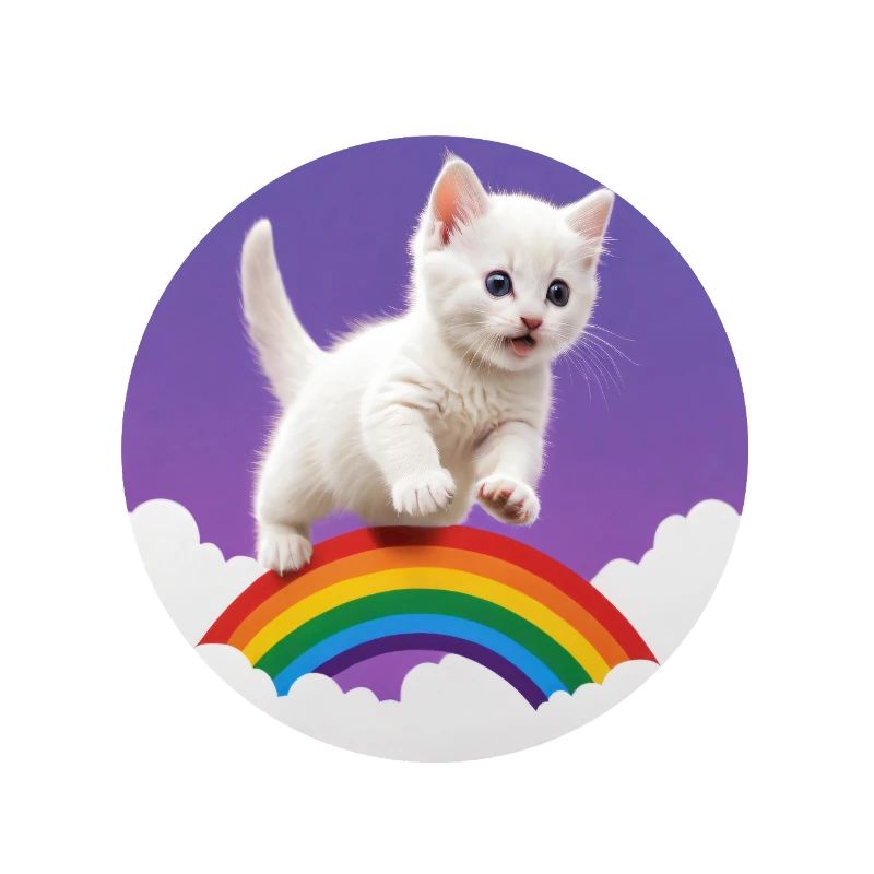 Weißes Kätzchen Regenbogen 2