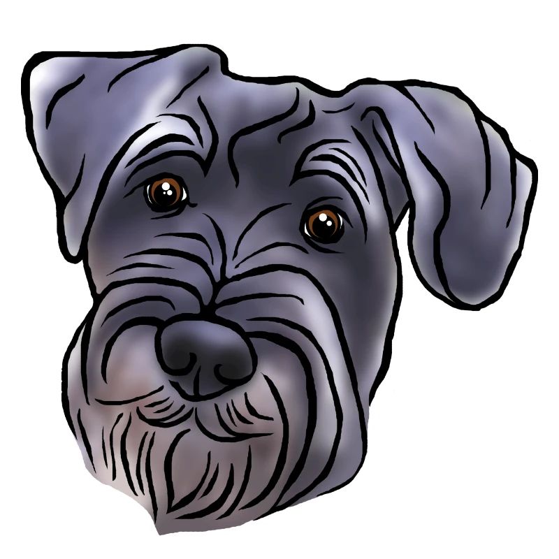 Medium schnauzer head in comic style
