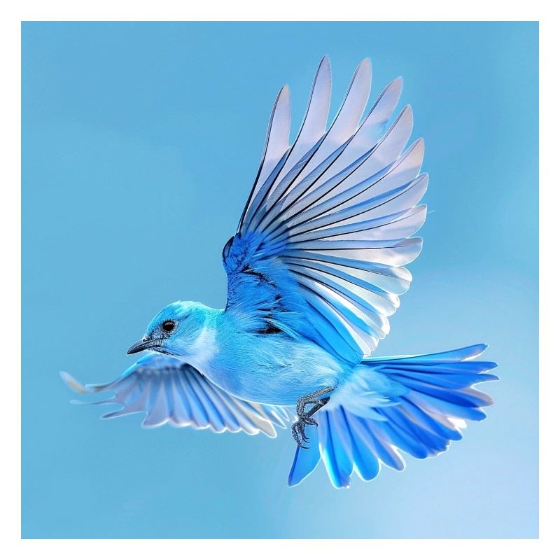 blauer Singvogel im Flug blauer Hintergrund