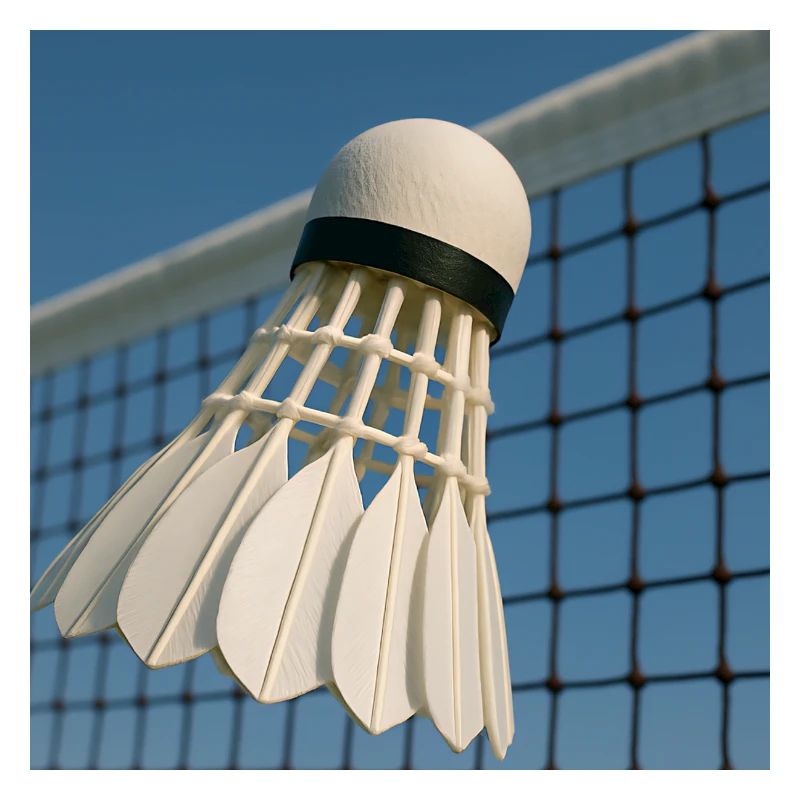 Sport - Badminton