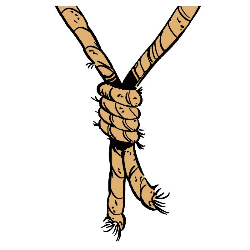corde au cou