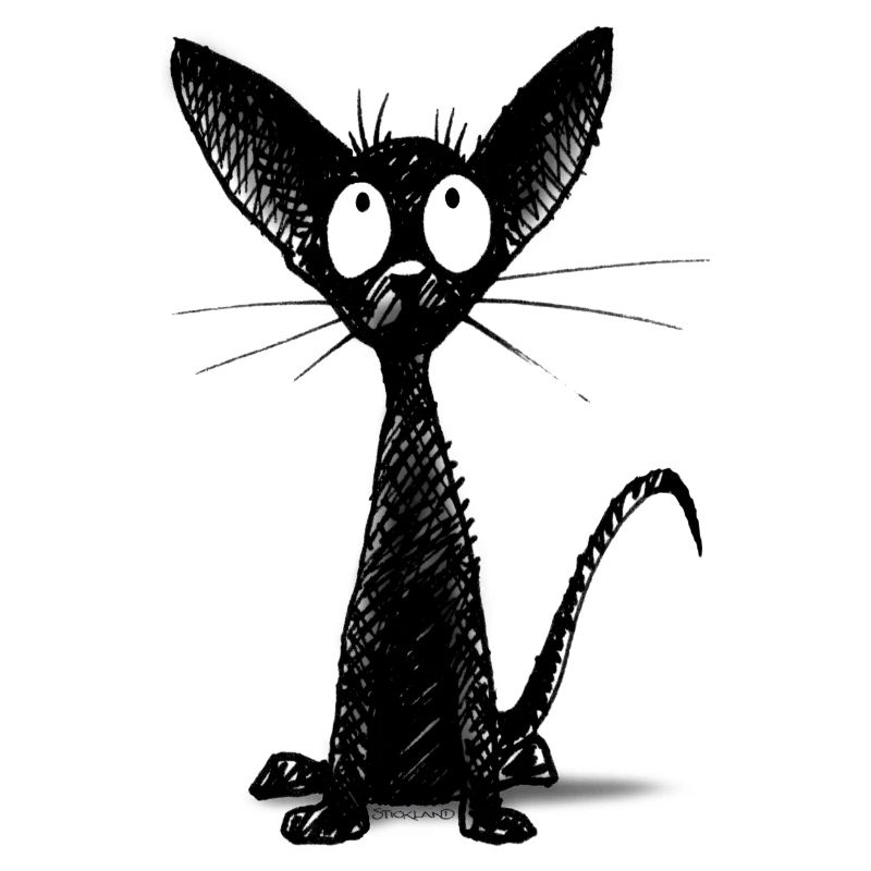 Kleine schwarze Katze