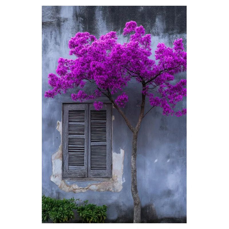 Lebendige Blüte vor rustikaler Wand