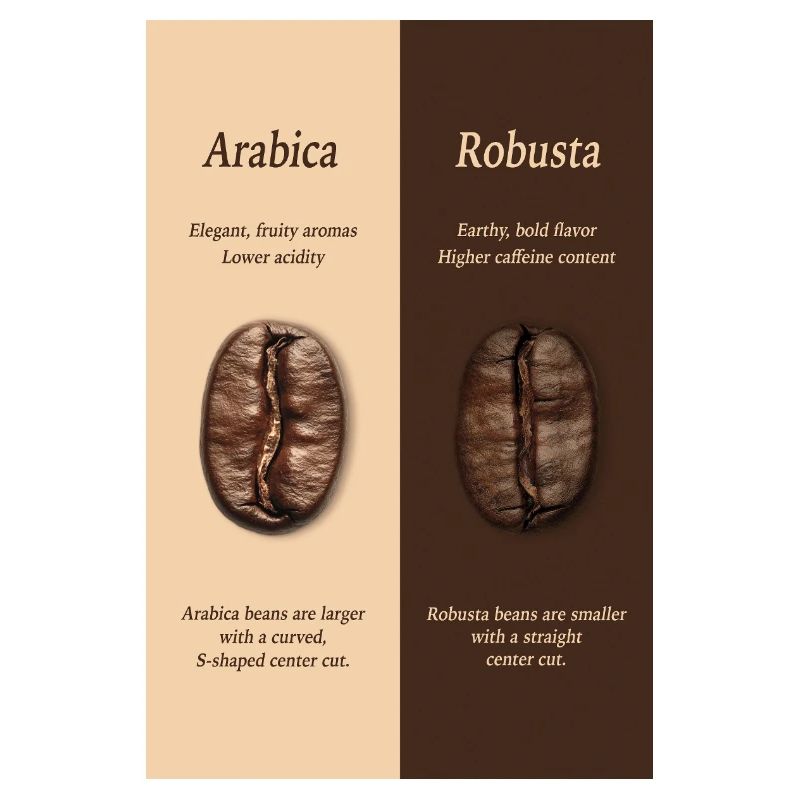 Affiche du guide du café Arabica vs Robusta