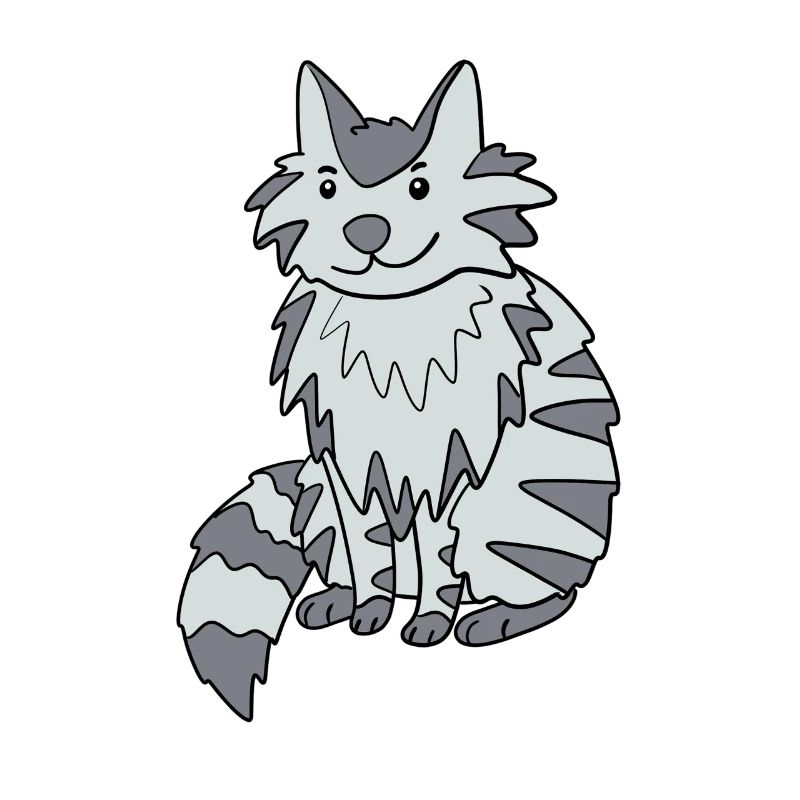 Maine Coon Chat
