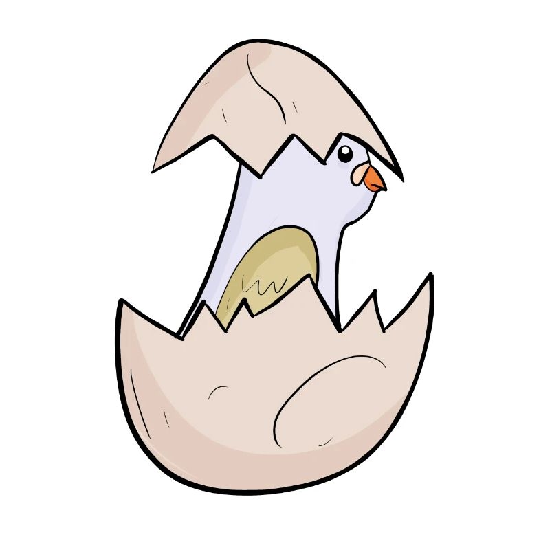 Bébé Pigeon - Bébé Oiseau