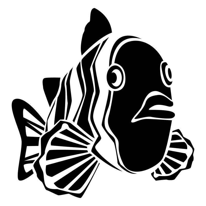 fish nemo clownfish animal