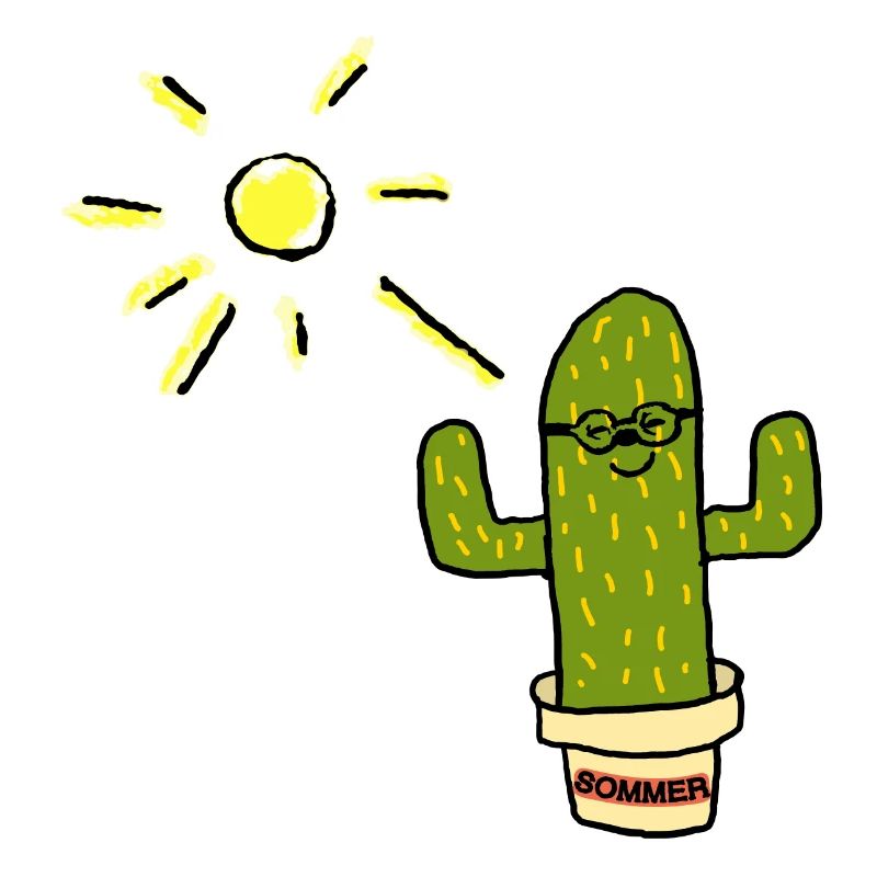 Summer sun cactus cactus