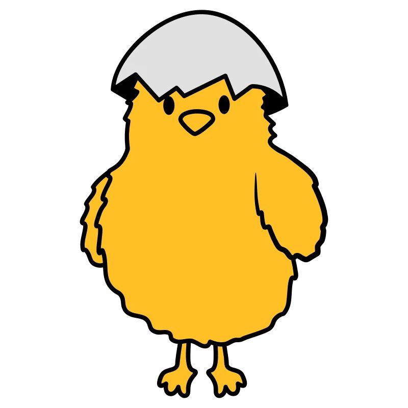 Küken mit Eierschale auf dem Kopf