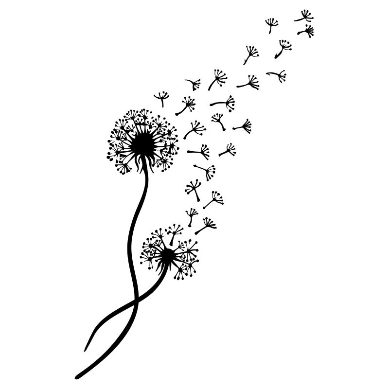 Dandelion blowball, flower, summer, garden, spring