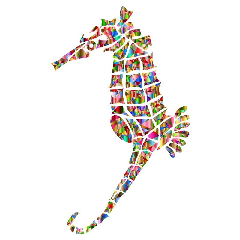 Regenbogenfarbenes Seepferd