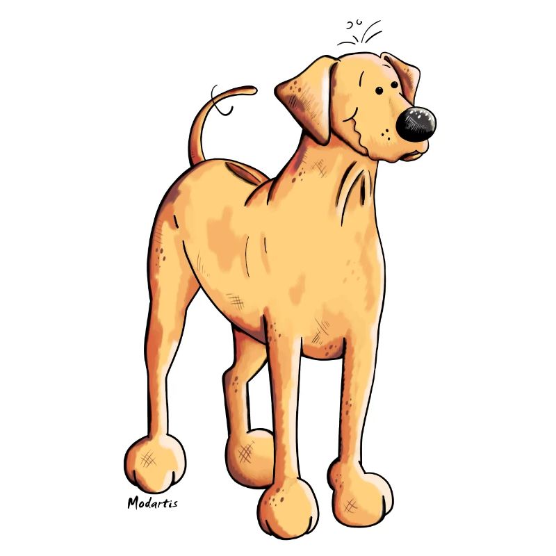 Happy Rhodesian Ridgeback