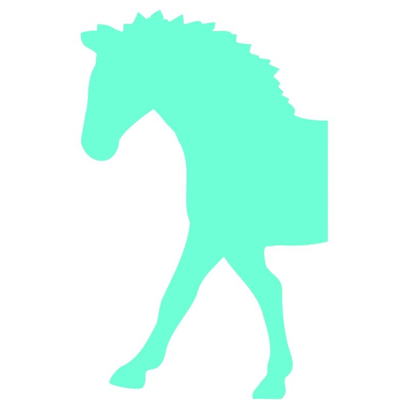 Half Horse Front Part Front Half Front Goes