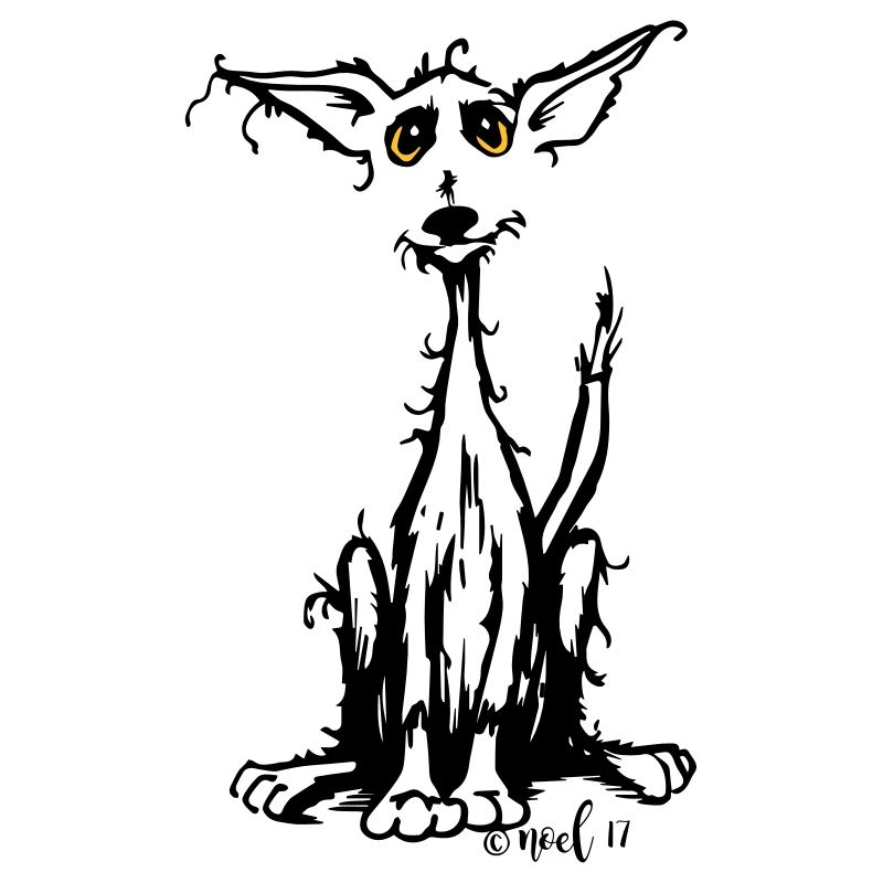 Rauhaar Hund