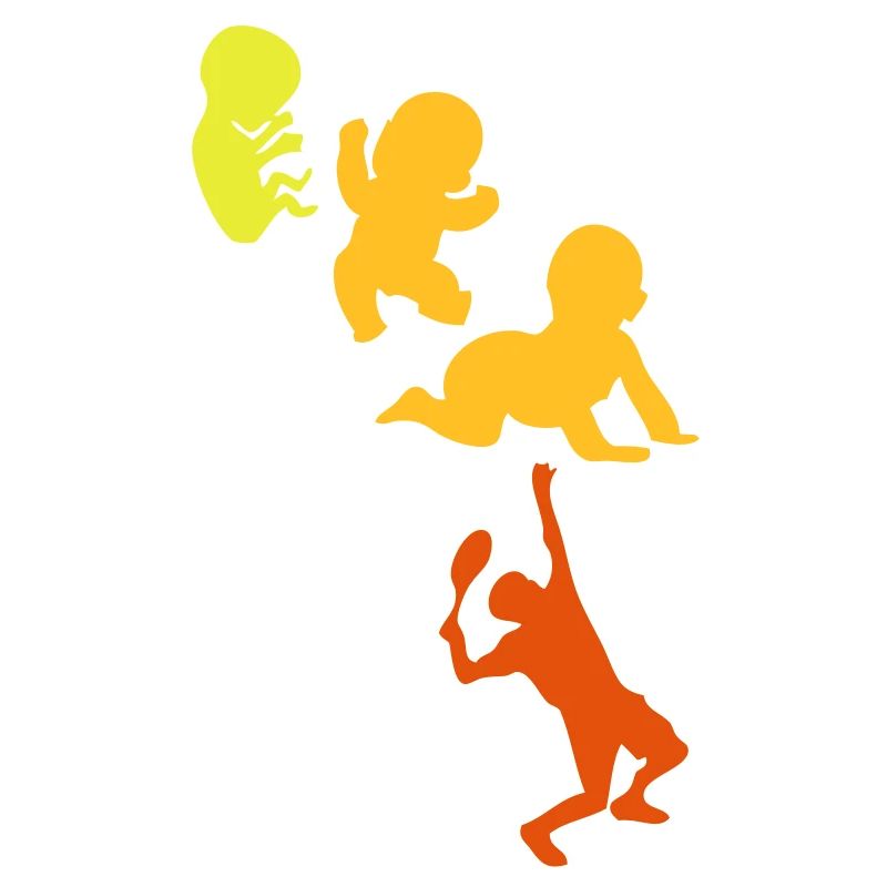 evolution men human sport tennis2