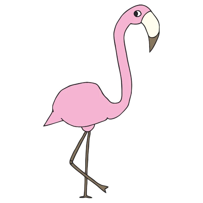 flamingo rosa
