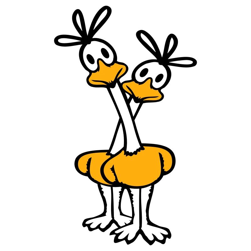 2 Road Runner Couple Coucou Oiseau Long Cou